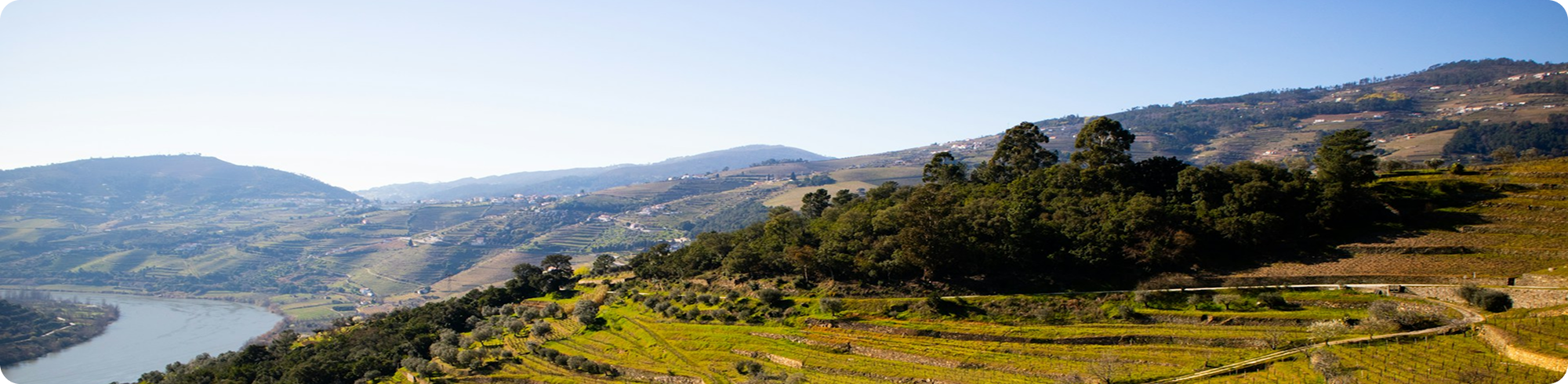 Investing in Portugal